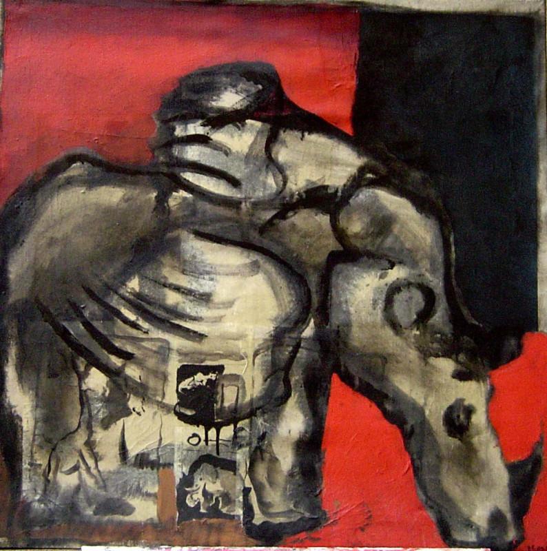 rhino